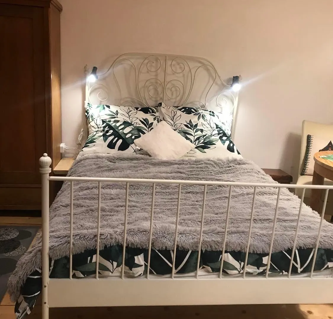 Willa Jasna Apartamenty Centrum Zakopane Polen
