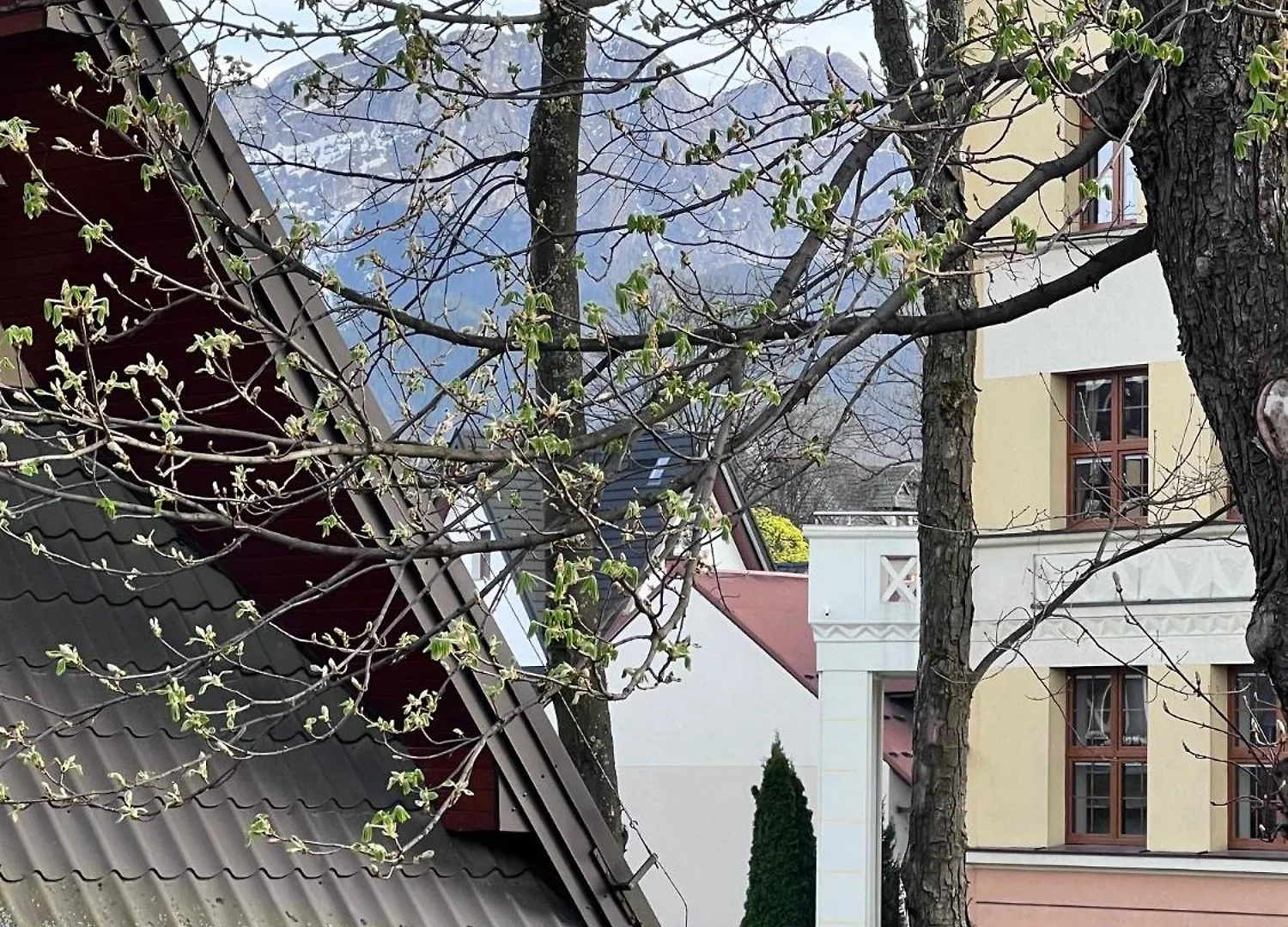 Willa Jasna Apartamenty Centrum Zakopane 0*,  Polen